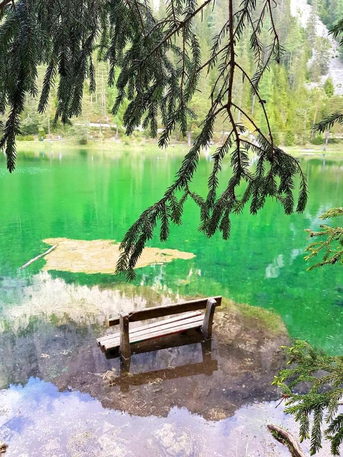 Auszeit Steiraland 6 Mit Ueberdachter Terasse Schoenen Garten Und Kostenlosen Parkplatz Λεόμπεν Εξωτερικό φωτογραφία